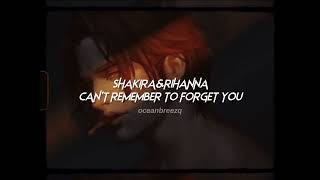 shakira,rihanna-can't remember to forget you (sped up+reverb)