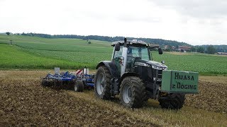 Stoppelsturz mit Massey Ferguson Black Beauty & Köckerling Grubber