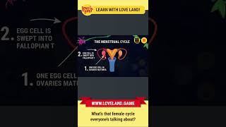 Learn about the menstrual cycle with Love Land