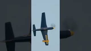 P-51 Mustang: The Legendary World War II Fighter