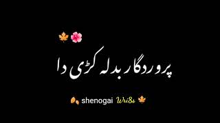 💕 pashto black screen poetry status||iMovie black screen poetry status #viralstatus #viral #status