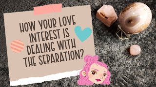 How your love interest is dealing with the separation😰❄💔#pickacard #tarot #etherealempress