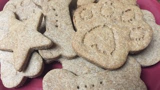 DIY Dog Treats/Cupcake