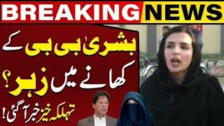 Poison in Bushra Bibi's Food Mashal Yousufzai Shares Shocking News - Capital News