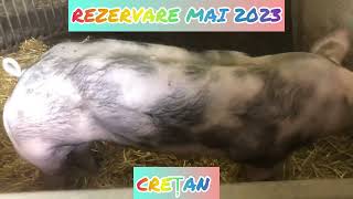 Rezervare mai 2023