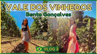 O que fazer no VALE DOS VINHEDOS, BENTO GONÇALVES? Vinícolas, restaurantes e passeios | Talita Ramos