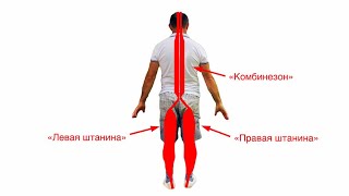 6-Я ЗАДНЯЯ ПОВЕРХНОСТНАЯ МЫШЕЧНАЯ ЛИНИЯ