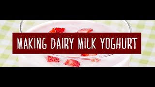 Making Dairy Yoghurt