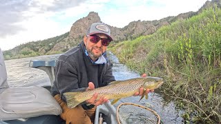 Epic Dry Fly on the Missouri River#dryfly #montanaflyfishing #flyfishinglife