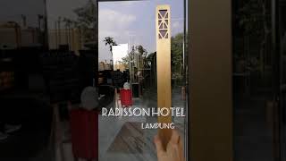 REVIEW RADISSON HOTEL LAMPUNG// Gabriel turns 3