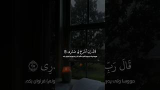 سورة طه | قارئ أحمد خضر #shorts