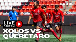 En vivo | Xolos vs Querétaro | Sub 18 | J14 CL23