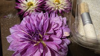 Revealing some Dahlias preserved in Silica Gel