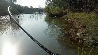 Mancing mania casting ikan gabus di waduk nepa