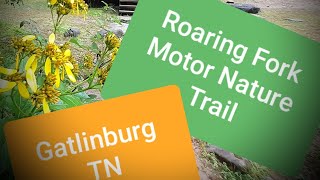 Roaring Fork Motor Nature Trail, Gatlinburg TN.