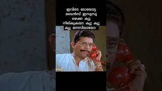 Jagathy Comedy | ഇവിടെ Toyota, Benz, Izuzu എല്ലാം ക്യൂവിലാണ്.. ക്യൂ ക്യൂ ക്യൂ 🤣🤣🤣