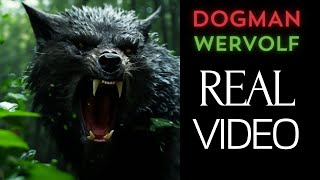 Оборотни Ужасы - 17 минут | Dogman, werewolf