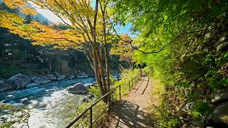 Walking in Tokyo Mitake Valley・4K HDR (fixed)