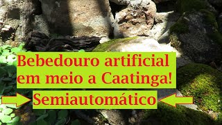 Reconstruindo o bebedouro para os animais em meio a Caatinga, sistema semiautomático com boia oculta