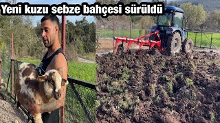 BAHÇE SÜRÜLDÜ YENİ KUZU GELDİ