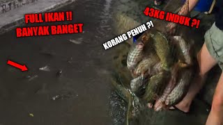 FULL IKAN‼️MANCING TOMBRO 3 JAM 43KG GALATAMA IKAN MAS YOGYAKARTA