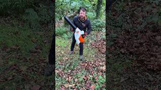 POWERFUL Leaf Blower - BGA250 #stihl #leafblower #lawncare #landscaper #shorts #autumn