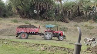 New Massey Ferguson 245di Planetary plus First time with Trolley on Jcb 3dx