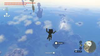 Oops 🤣(Link fell down the sky island)