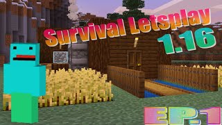 Minecraft Survival lets play 1.16 #1- Building A Base!!