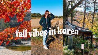 🍁Fall Vibes in Korea | new hair &  tea time in the mountains