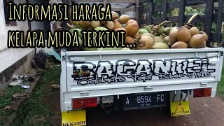 info harga kelapa muda terkini// untuk dijual lagi ke pengepul di Jakarta