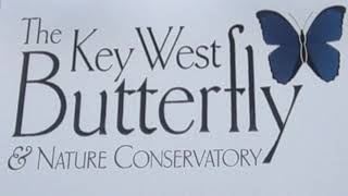 THE KEY WEST BUTTERFLY CONSERVATORY