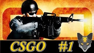 CSGO #1 --- Fox sucks at this.