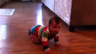 Colin crawling