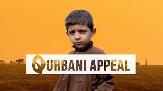 Qurbani Appeal 2016