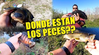 DONDE ESTAN LOS PECES? (Recopilación de Capturas - Edicion Agua Dulce)