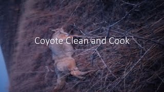 Coyote Clean and Cook