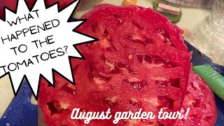 WHAT happened to the tomatoes? August Garden TOUR!