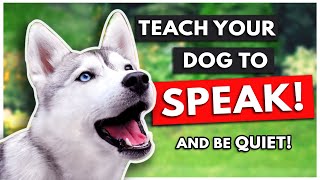 HOW TO TEACH YOUR DOG TO SPEAK (and be QUIET!)