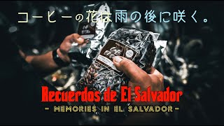 【公式】土屋圭市、El Salvador Coffee Documenetary Keiichi and the beauty of Salvadoran people.コーヒーの花は雨の後に咲く。