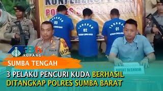 3 Pelaku Pencuri Kuda Berhasil Ditangkap