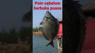 babon kiper galau #mancingikan #fishing #mancingikanlaut #mancinglaut #mancingmania #lautjawatimur