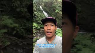 Let me introduce three beautiful waterfalls in Amami Island. #amami #amase #natureguide