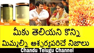 TOP INTERESTING AND UNKNOWN FACTS IN TELUGU | AMAZING FACTS IN TELUGU | Chandu Telugu channel