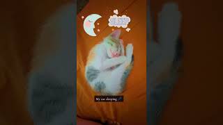 My cutie kitten sleeping 🥰💤 #cutebaby #catlover #cutepets