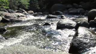 Calming River - Beautiful Nature | Terra Amica TV [Full HD]