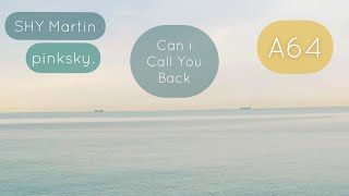 SHY Martin - Can i Call You Back (pinksky. Remix) (A64 Edit) (Lyrics)