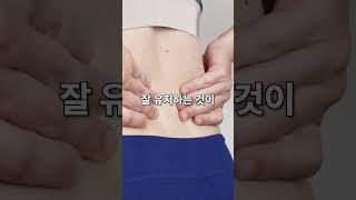 허리 통증 예방 및 척추 기립근 강화 운동 로만체어