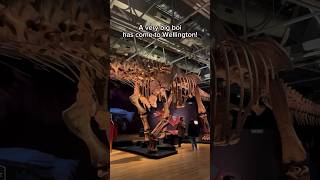 See Patagotitan at Te Papa’s Dinosaurs of Patagonia exhibition in Wellington #bigboy