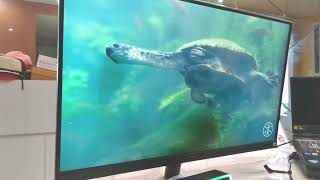 Màn hình LG 32 inch 2K 165hz - LG 32GN600-B